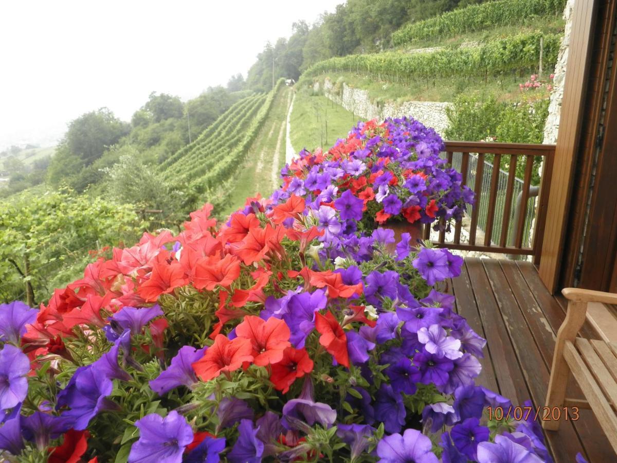 Villa Lagarina B&B Al Ghiro חדר תמונה